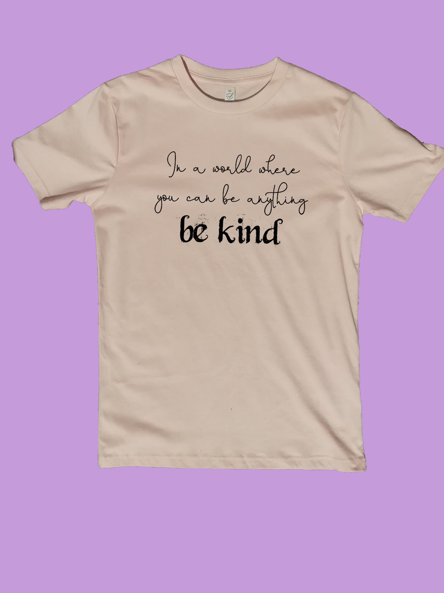 In A World Where You Can Be Anything Be Kind Organic T Shirt