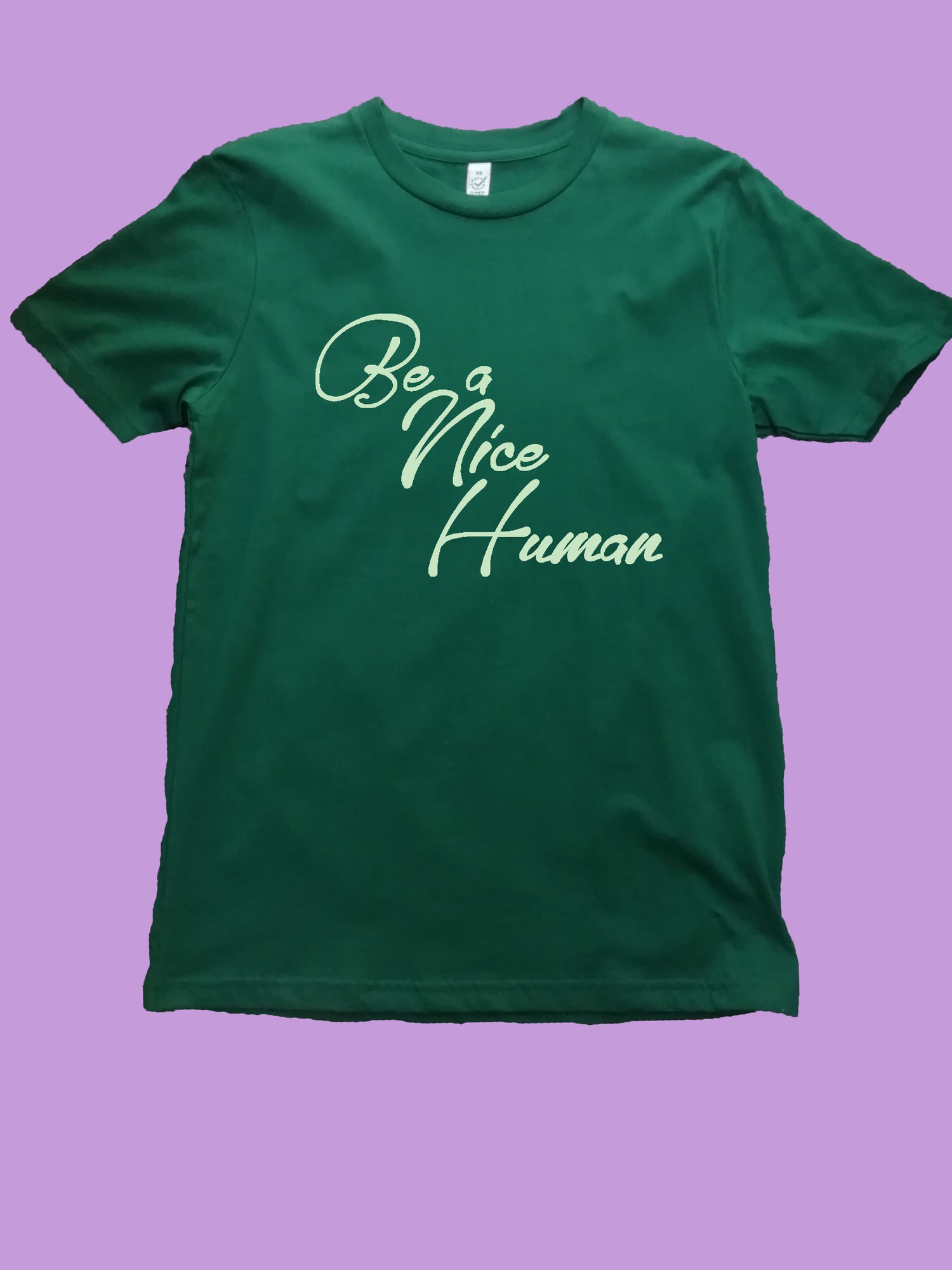Be A Nice Human Organic T Shirt