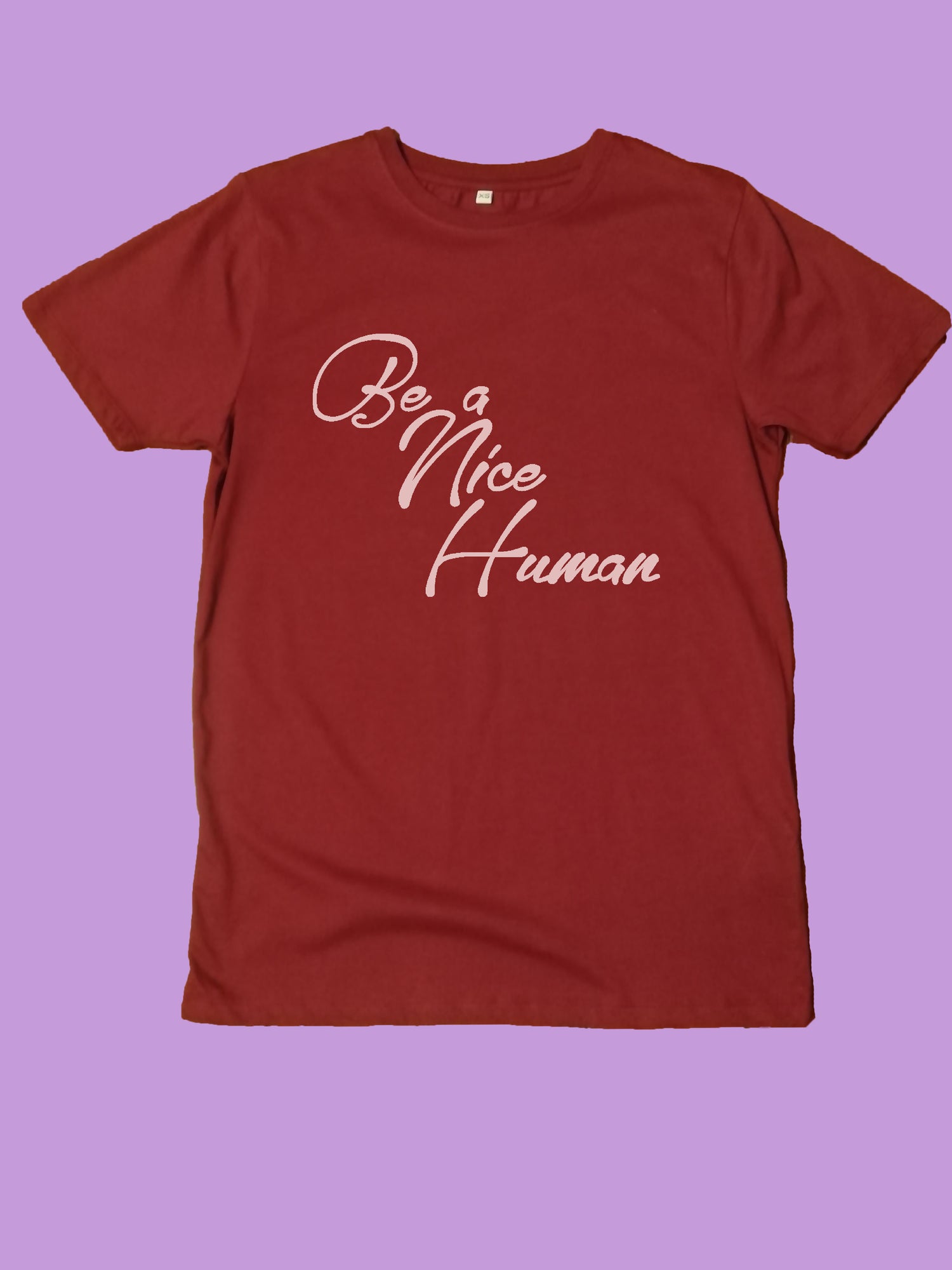 Be A Nice Human Organic T Shirt