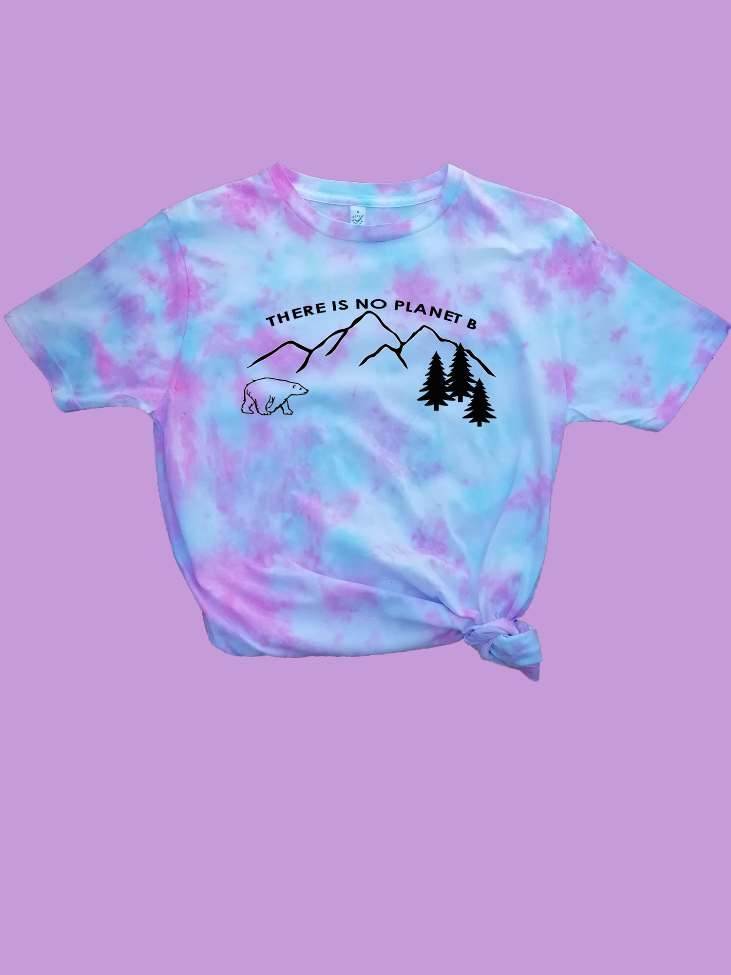 There is no Planet B Organic Shirt