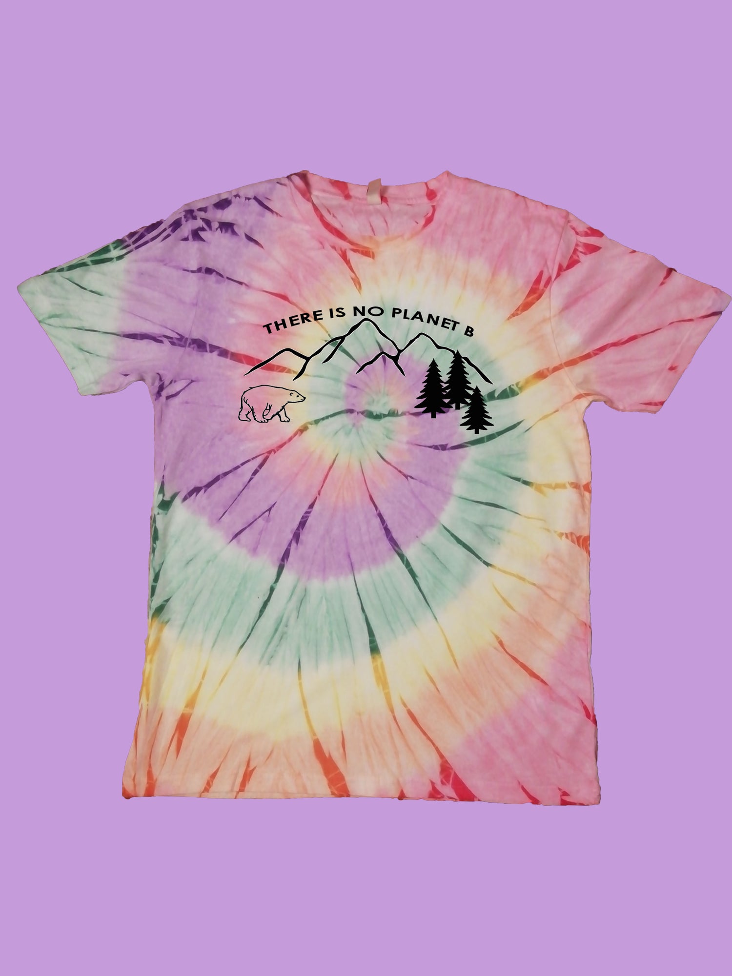 There is no Planet B Organic Shirt